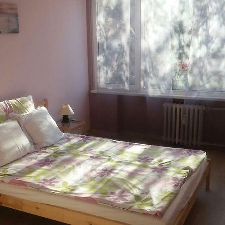 Cosy Place Close To The Center Sofia Zewnętrze zdjęcie