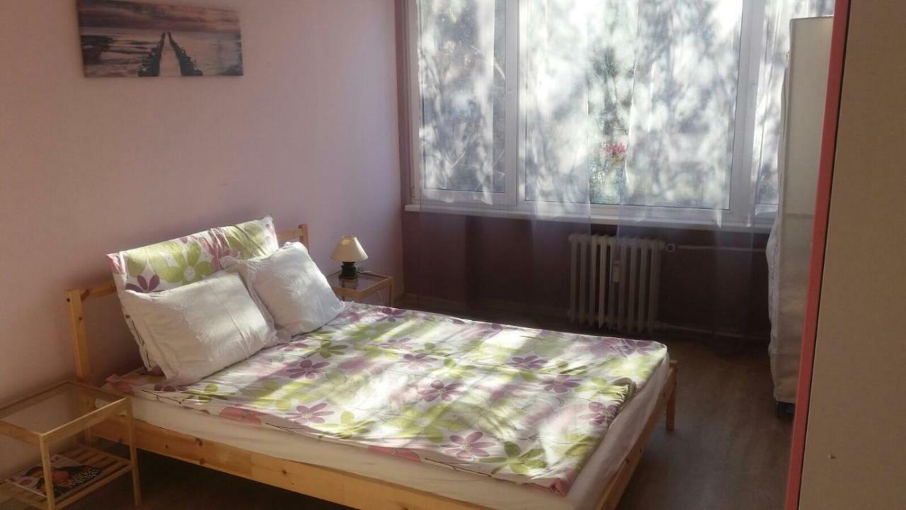Cosy Place Close To The Center Sofia Zewnętrze zdjęcie